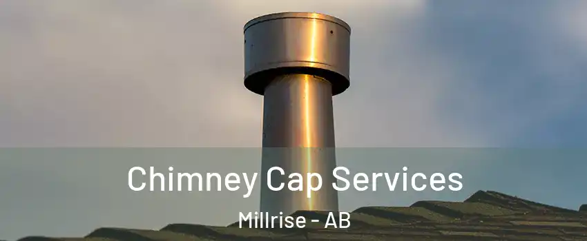  Chimney Cap Services Millrise - AB