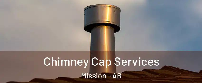  Chimney Cap Services Mission - AB
