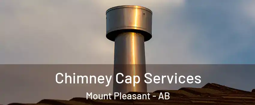  Chimney Cap Services Mount Pleasant - AB