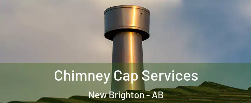  Chimney Cap Services New Brighton - AB