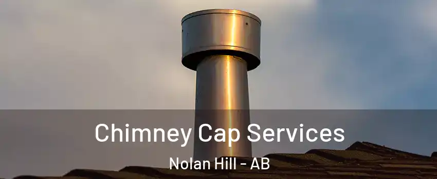 Chimney Cap Services Nolan Hill - AB