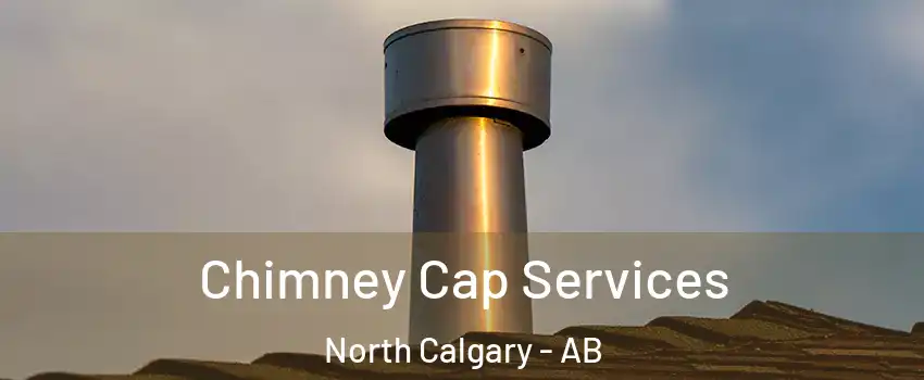  Chimney Cap Services North Calgary - AB
