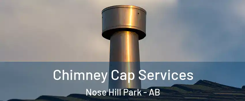  Chimney Cap Services Nose Hill Park - AB