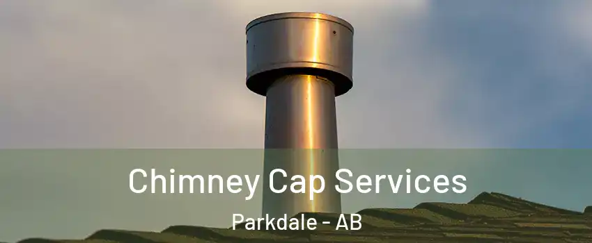  Chimney Cap Services Parkdale - AB
