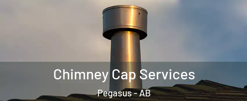  Chimney Cap Services Pegasus - AB