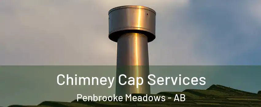  Chimney Cap Services Penbrooke Meadows - AB