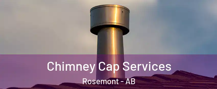  Chimney Cap Services Rosemont - AB