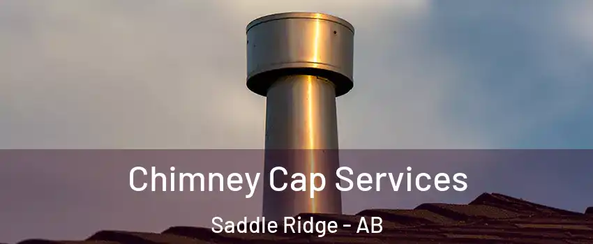  Chimney Cap Services Saddle Ridge - AB