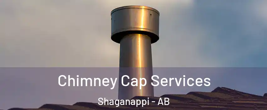 Chimney Cap Services Shaganappi - AB