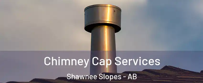  Chimney Cap Services Shawnee Slopes - AB