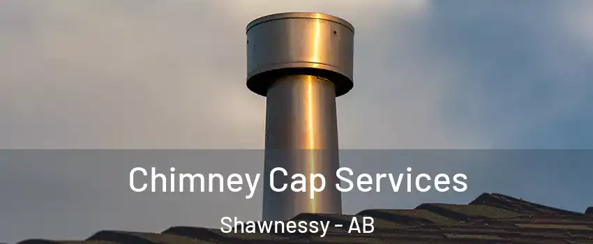  Chimney Cap Services Shawnessy - AB