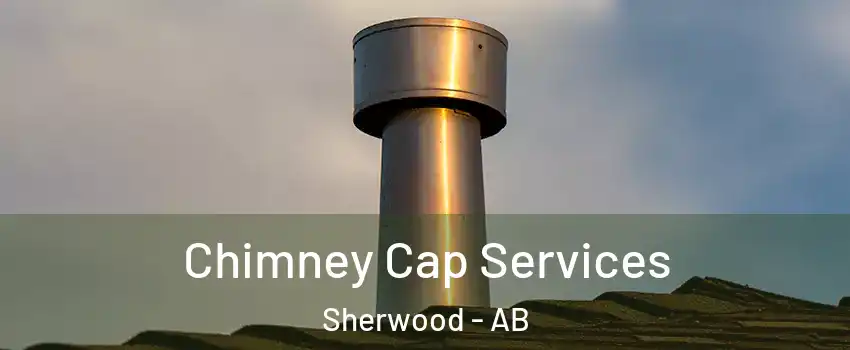  Chimney Cap Services Sherwood - AB