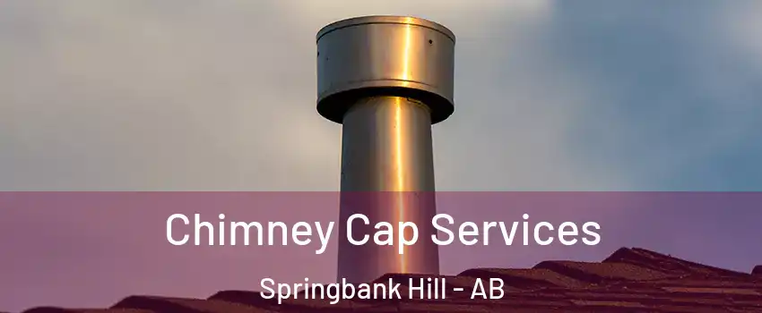  Chimney Cap Services Springbank Hill - AB
