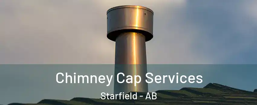  Chimney Cap Services Starfield - AB