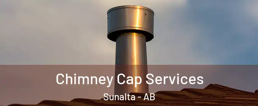  Chimney Cap Services Sunalta - AB