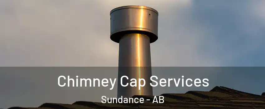 Chimney Cap Services Sundance - AB