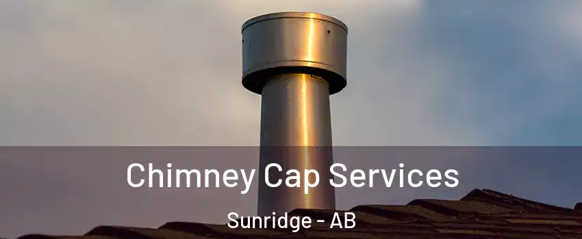  Chimney Cap Services Sunridge - AB