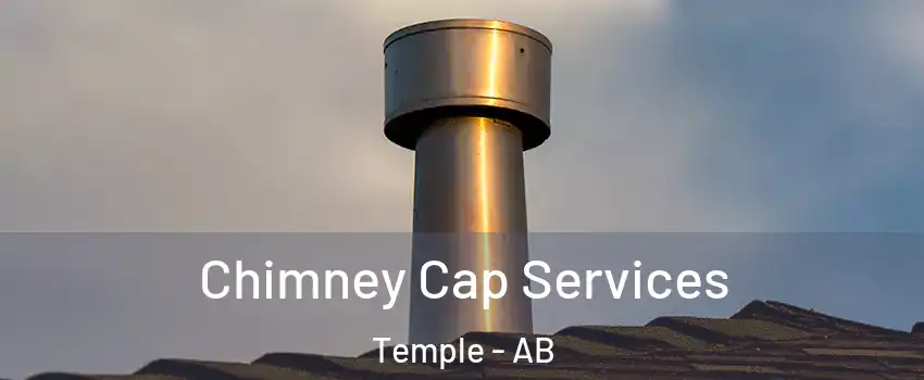  Chimney Cap Services Temple - AB