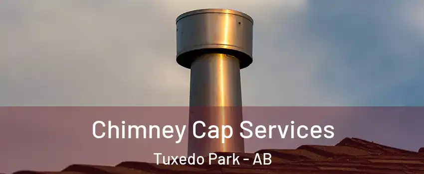  Chimney Cap Services Tuxedo Park - AB