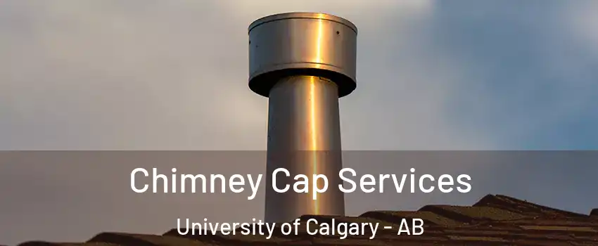  Chimney Cap Services University of Calgary - AB