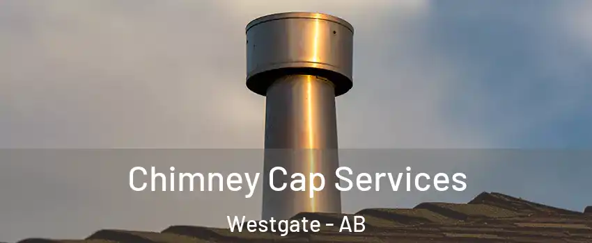  Chimney Cap Services Westgate - AB