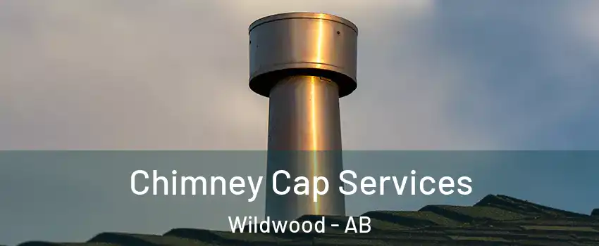  Chimney Cap Services Wildwood - AB
