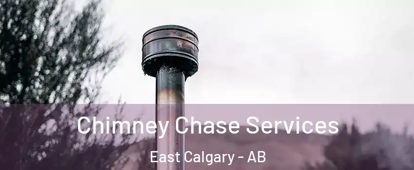  Chimney Chase Services East Calgary - AB