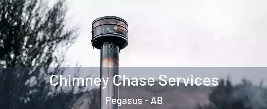  Chimney Chase Services Pegasus - AB
