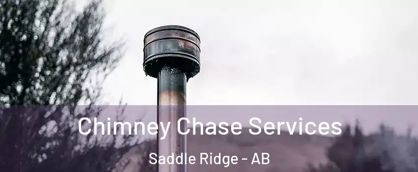  Chimney Chase Services Saddle Ridge - AB