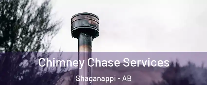  Chimney Chase Services Shaganappi - AB