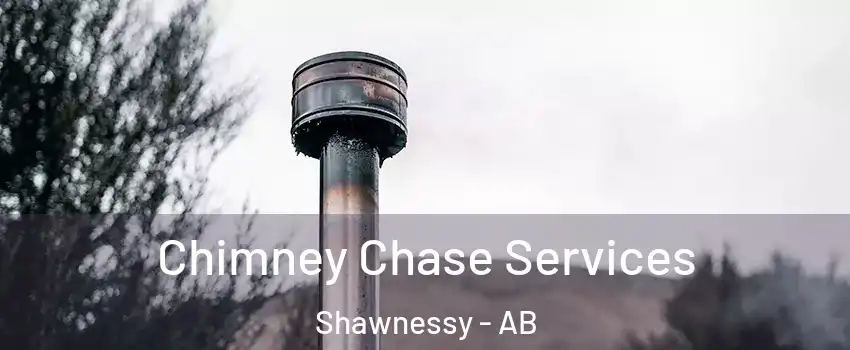  Chimney Chase Services Shawnessy - AB