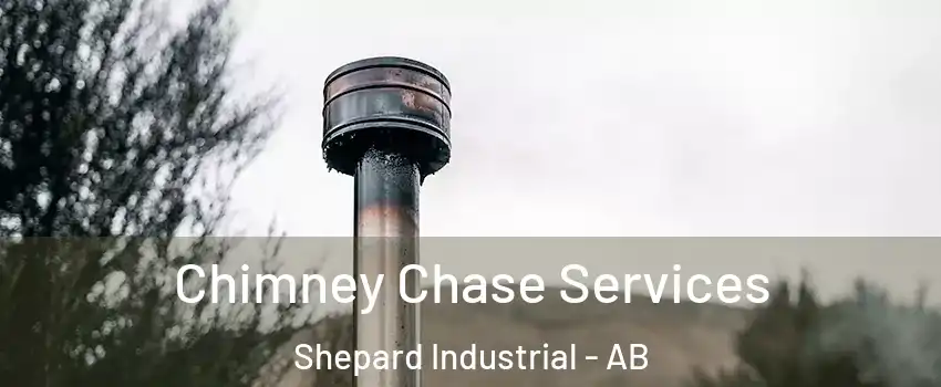  Chimney Chase Services Shepard Industrial - AB