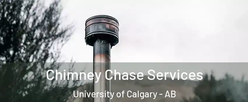  Chimney Chase Services University of Calgary - AB