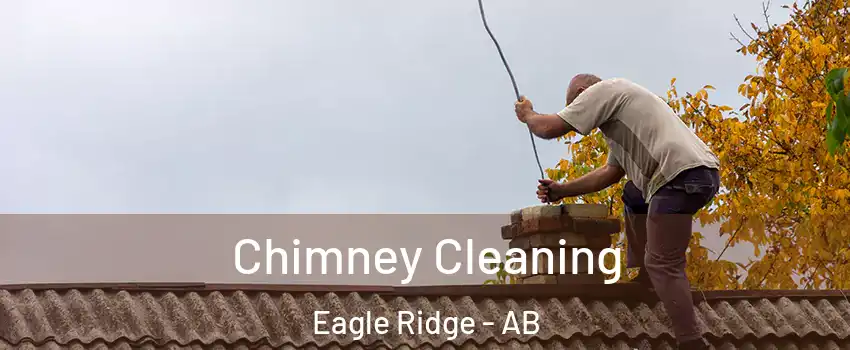  Chimney Cleaning Eagle Ridge - AB