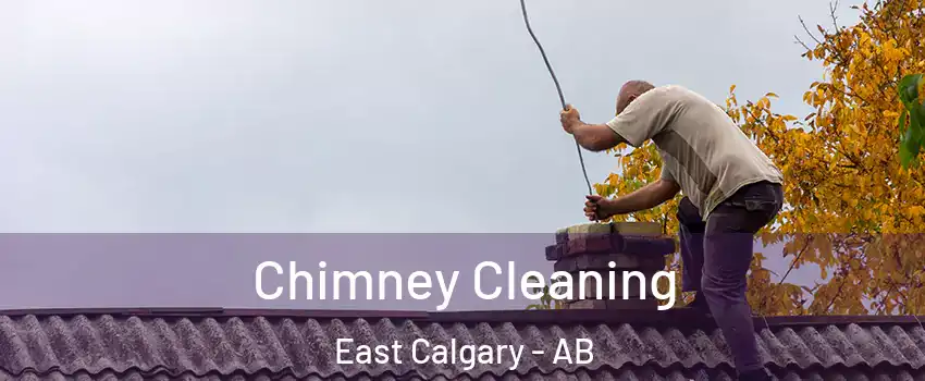  Chimney Cleaning East Calgary - AB