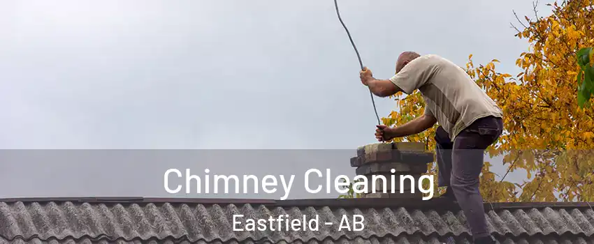  Chimney Cleaning Eastfield - AB