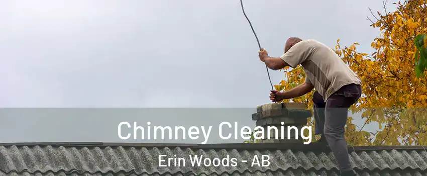  Chimney Cleaning Erin Woods - AB