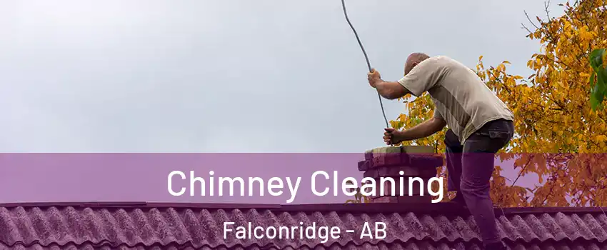  Chimney Cleaning Falconridge - AB