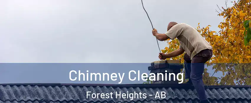  Chimney Cleaning Forest Heights - AB