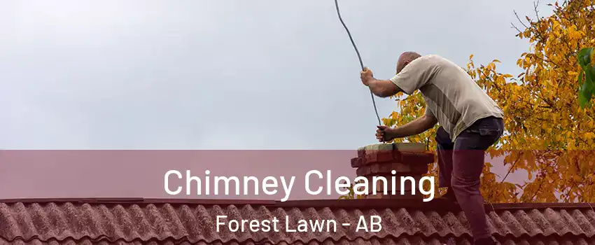  Chimney Cleaning Forest Lawn - AB