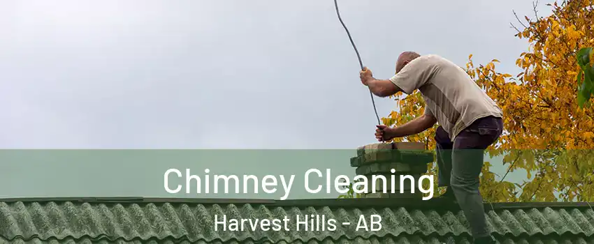  Chimney Cleaning Harvest Hills - AB