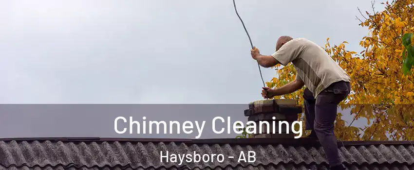  Chimney Cleaning Haysboro - AB
