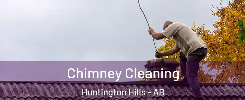  Chimney Cleaning Huntington Hills - AB