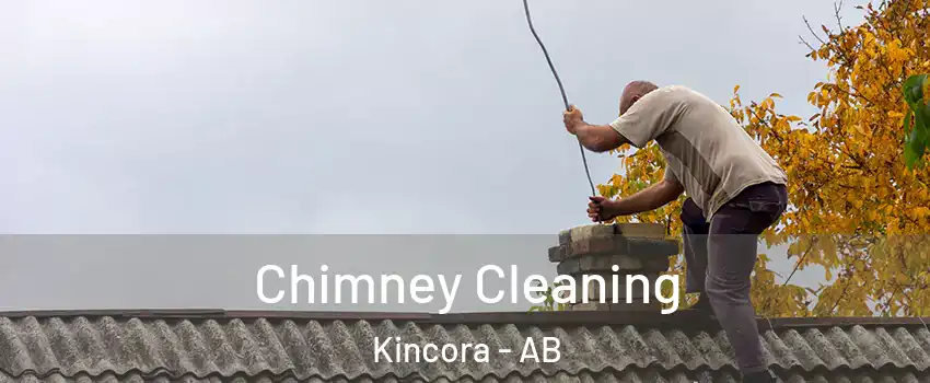  Chimney Cleaning Kincora - AB