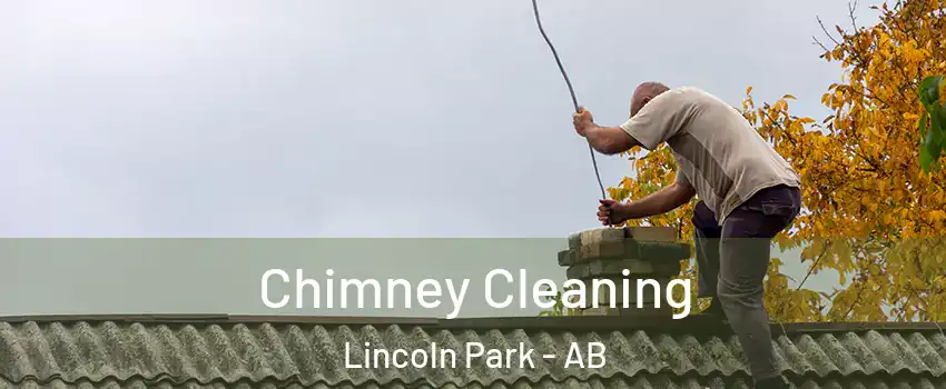  Chimney Cleaning Lincoln Park - AB