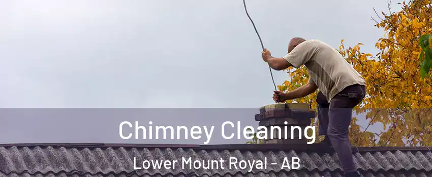  Chimney Cleaning Lower Mount Royal - AB