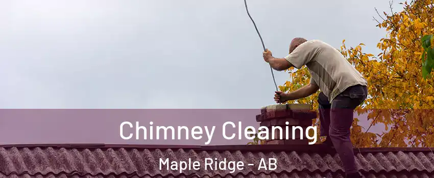  Chimney Cleaning Maple Ridge - AB