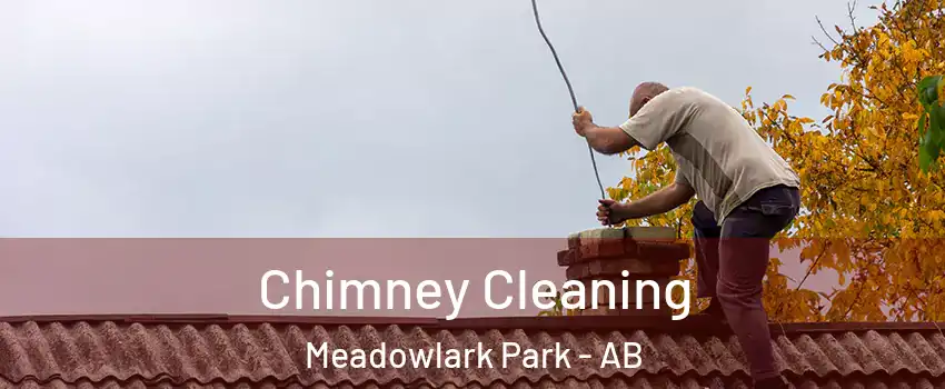  Chimney Cleaning Meadowlark Park - AB