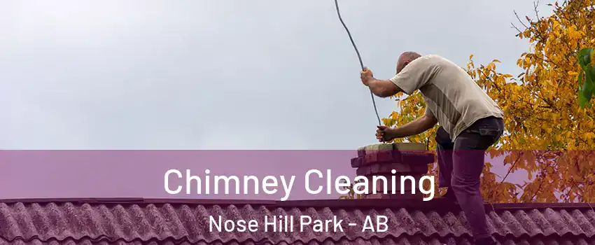  Chimney Cleaning Nose Hill Park - AB