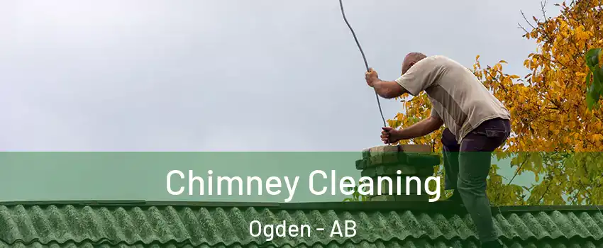  Chimney Cleaning Ogden - AB